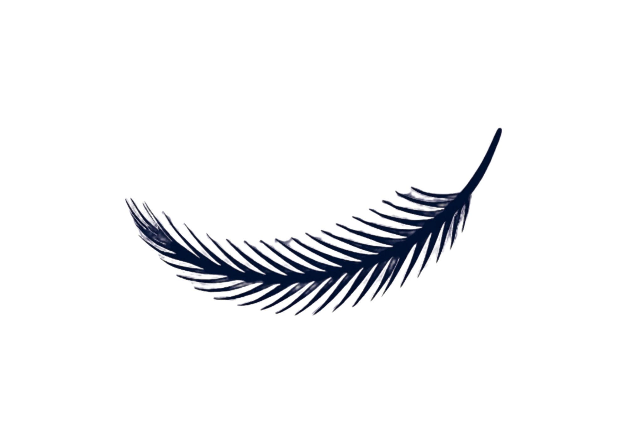 Emma Brayshaw Virtual Assistant